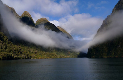 Cruise Fiordland